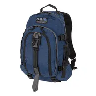 Рюкзак Polar 955
