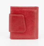 Кошелёк Poshete 604-081NPK